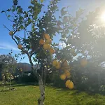 Casa Bea וילה *