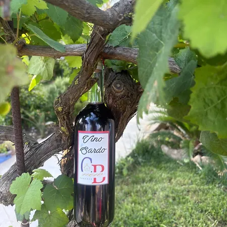 Villa Casa Bea Palmadula