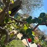 Villa Casa Bea *
