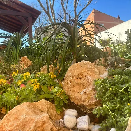 וילה Casa Bea Palmadula